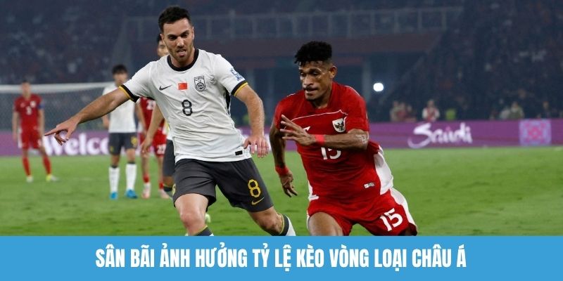 Sân bãi ảnh hưởng tỷ lệ kèo vòng loại châu Á