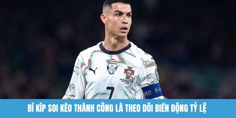 Bí kíp soi kèo thành công là theo dõi biến động tỷ lệ