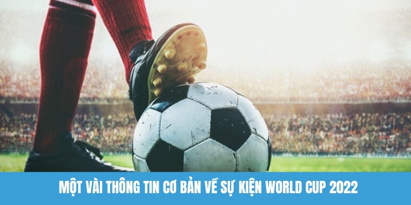 Một vài thông tin cơ bản về sự kiện World Cup 2022
