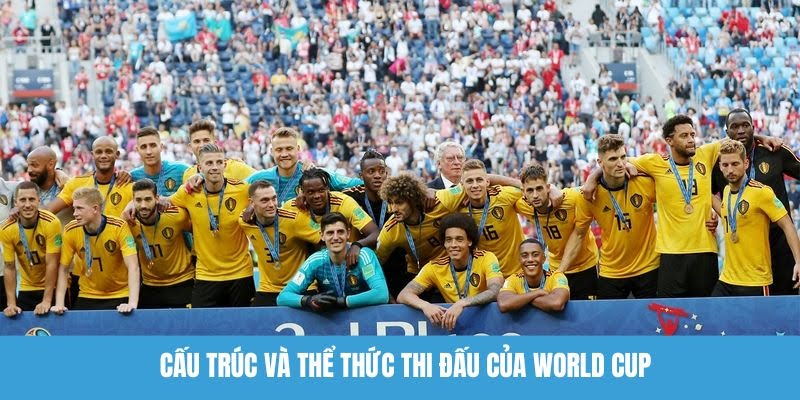 Các đội tuyển cần vượt qua vòng loại để góp mặt tại World Cup 