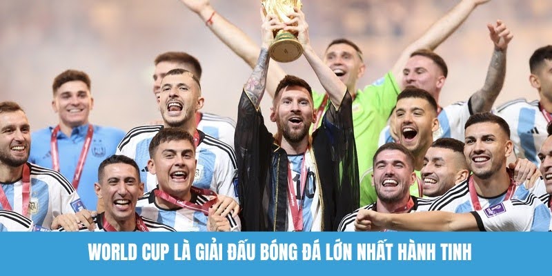 Hầu như ai yêu bóng đá cũng biết World Cup là giải đấu gì